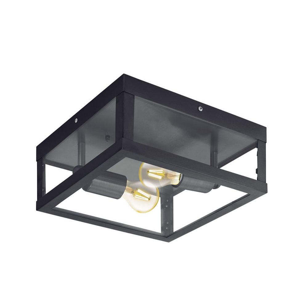 Alamonte Industrial Outdoor Wall / Ceiling Light Black
